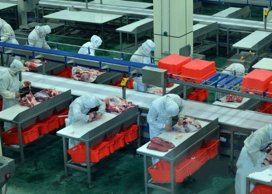 Chiny Linia produkcyjna do rozdrabniania mięsa wołowego / linia przerobu 100-300 sztuk bydła na godzinę dostawca
