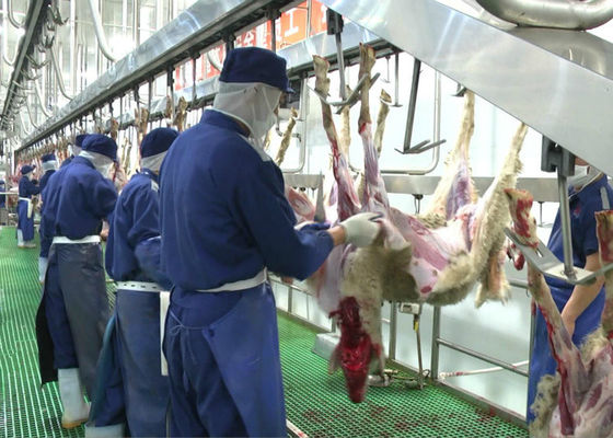 Chiny Koźlak Baranina Mięso Dzielone Linia produkcyjna Ubój Przewożący cały typ przetwórstwa dostawca