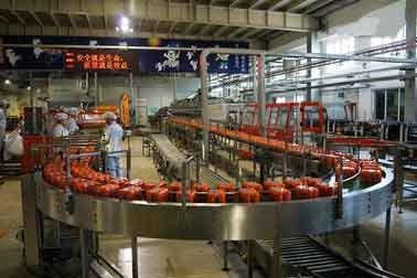Chiny Napój Automatyczna linia do produkcji owoców / warzyw do soków dostawca