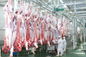 Linia produkcyjna do rozdrabniania mięsa wołowego / linia przerobu 100-300 sztuk bydła na godzinę dostawca