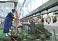 Koźlak Baranina Mięso Dzielone Linia produkcyjna Ubój Przewożący cały typ przetwórstwa dostawca