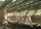 Koźlak Baranina Mięso Dzielone Linia produkcyjna Ubój Przewożący cały typ przetwórstwa dostawca